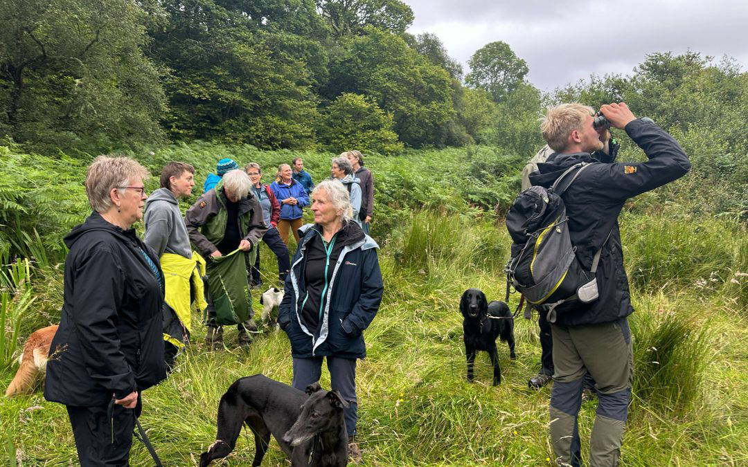 Autumn Wellbeing Walks