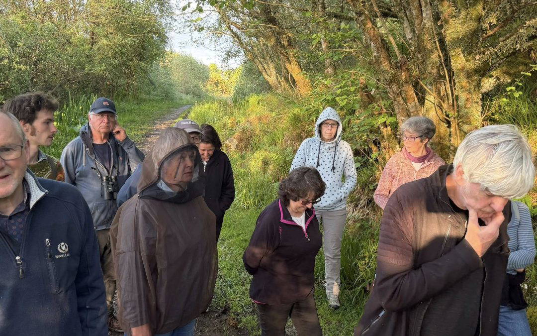 Evening Bird Walk