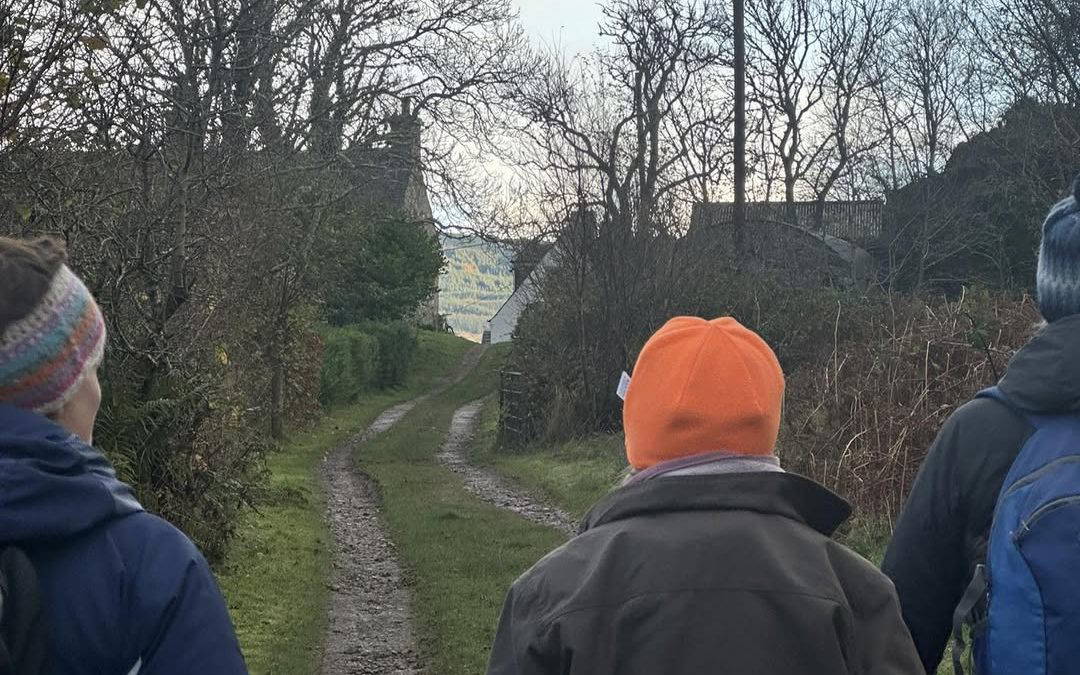 Old Carsaig Road Renovation Works