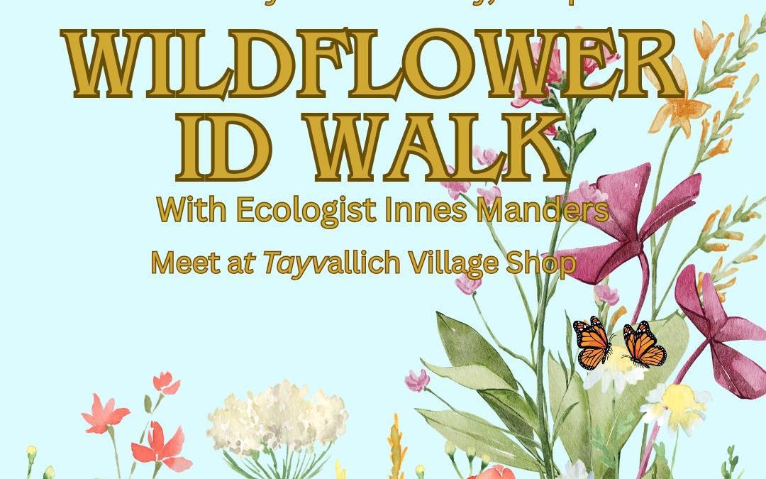 Wildflower ID Walk – 9/05/26