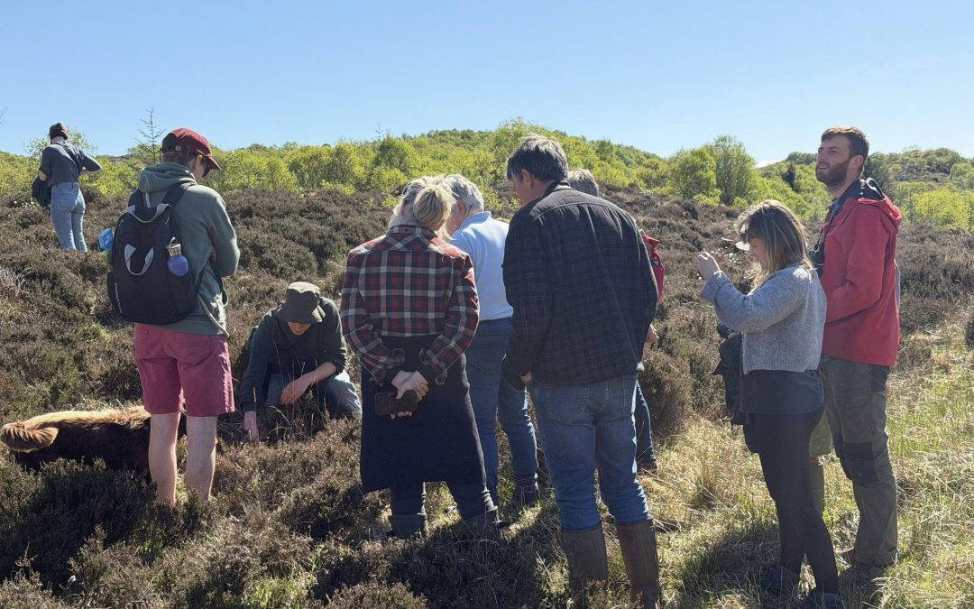 Wildflower ID Walk