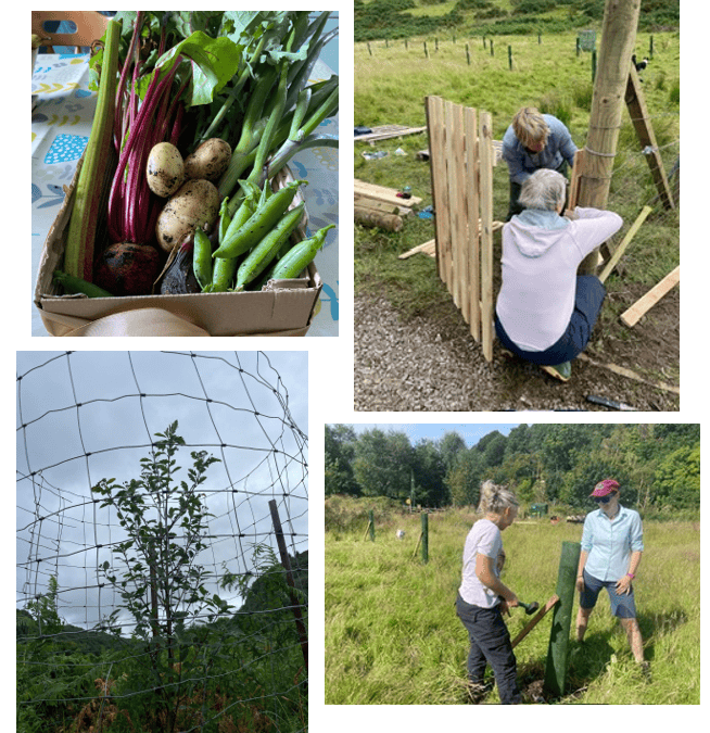 Community Garden & Orchard – Get Together – Thu 6 Aug, 4pm