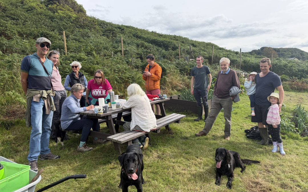 Community Garden & Orchard – Get Together