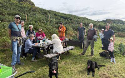 Community Garden & Orchard – Get Together